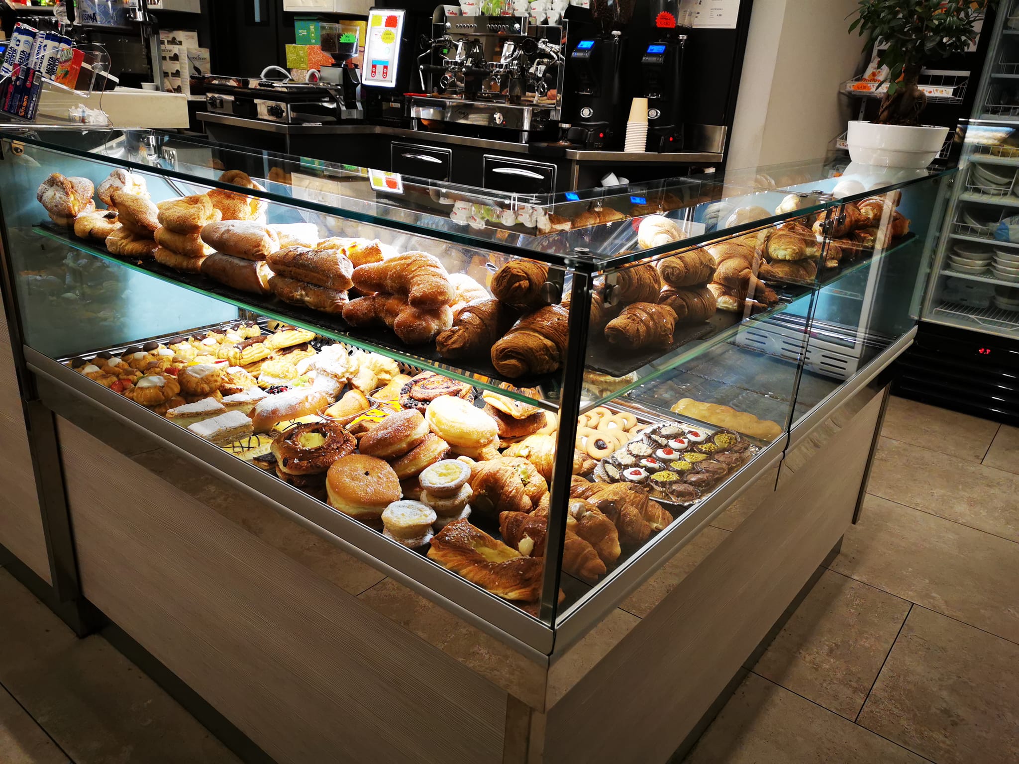 485767572_1242352004561675_6373607499889589467_n