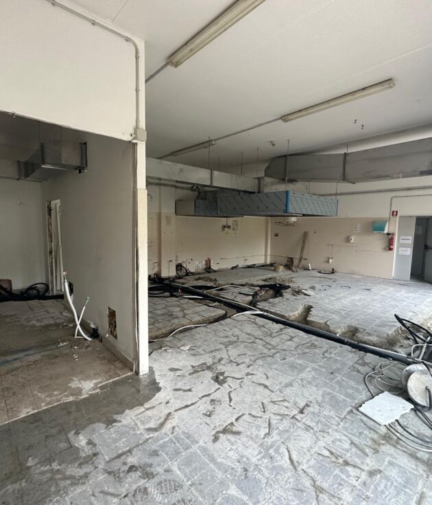 WhatsApp Image 2026-04-11 at 12.00.35 (1)